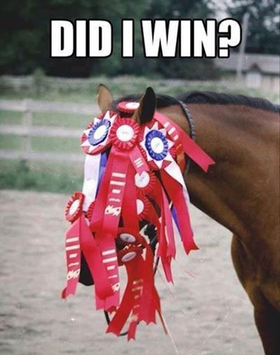 horse show winner